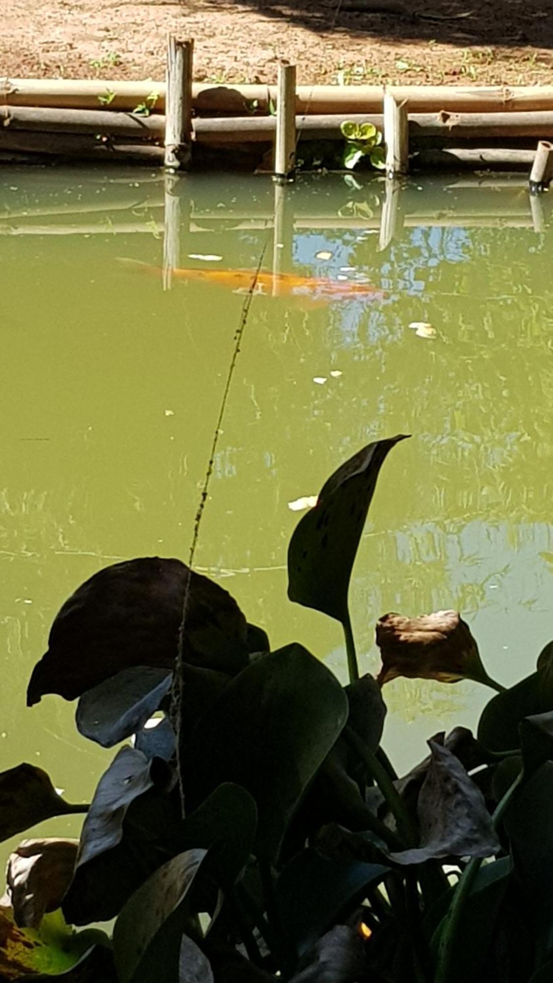 Chales Magia Das Aguas Águas de Lindóia Exterior foto