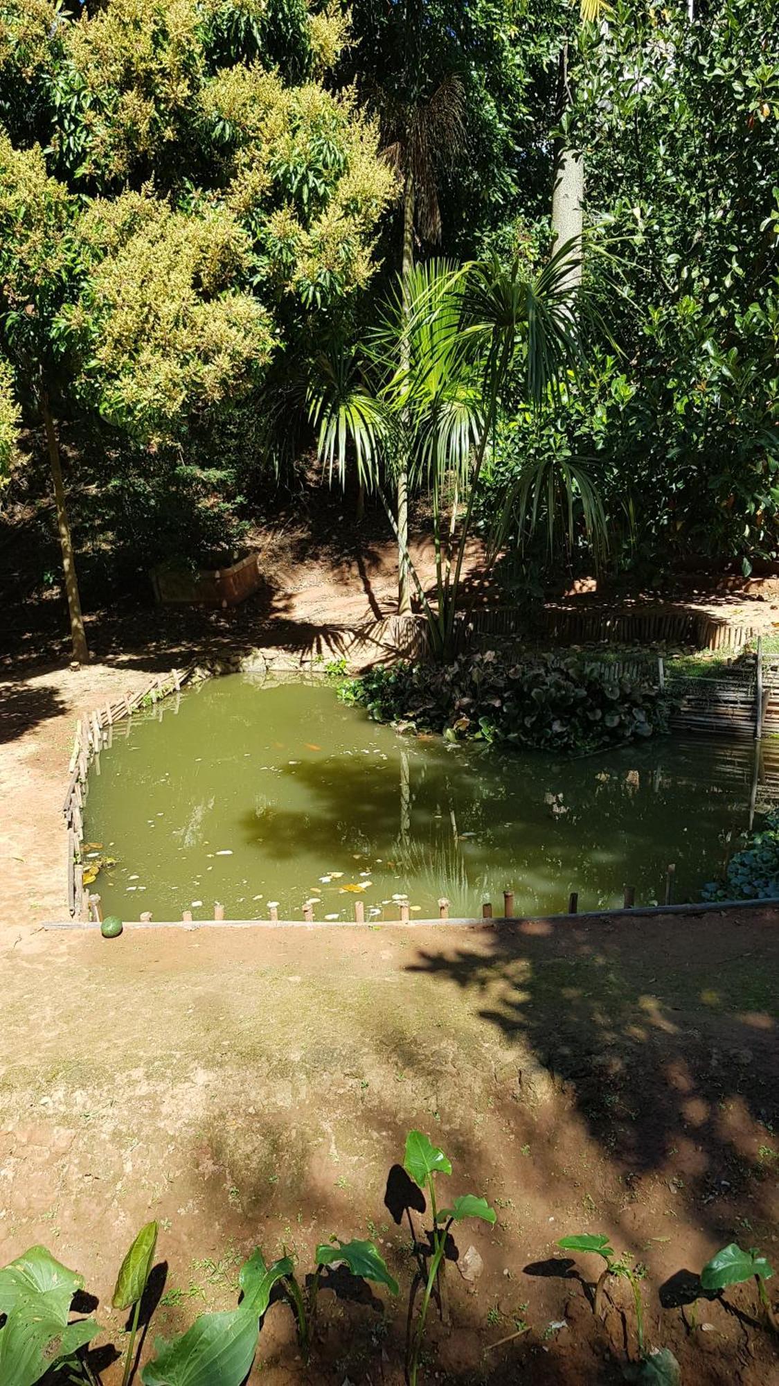 Chales Magia Das Aguas Águas de Lindóia Exterior foto